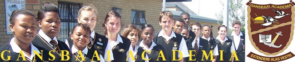 Gansbaai Academia