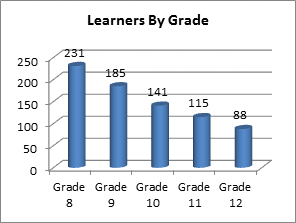Learners By Grade